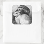 Konijnen Stickers (Tas)