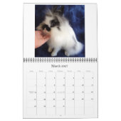 Konijnen van Lionhead 2009-2010 Kalender (Mar 2027)