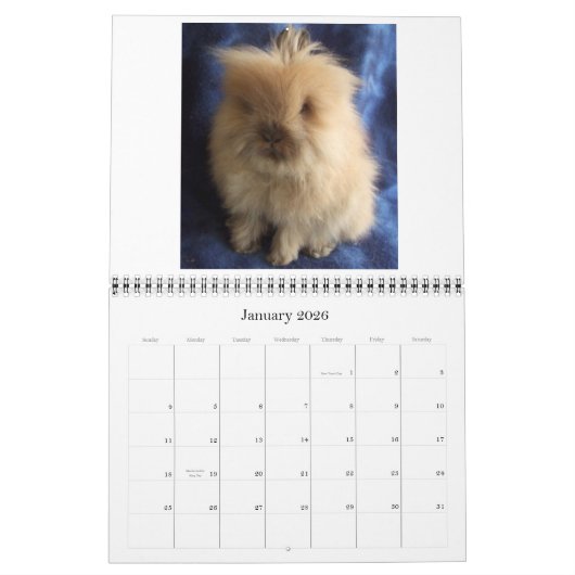 Konijnen van Lionhead 2009-2010 Kalender (Jan 2026)