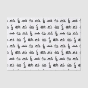  konijnenbundels maken een aangepaste ACHTERGRONDK Tissuepapier