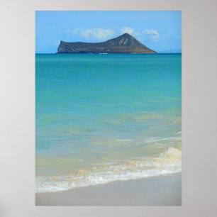 Konijneneiland Poster