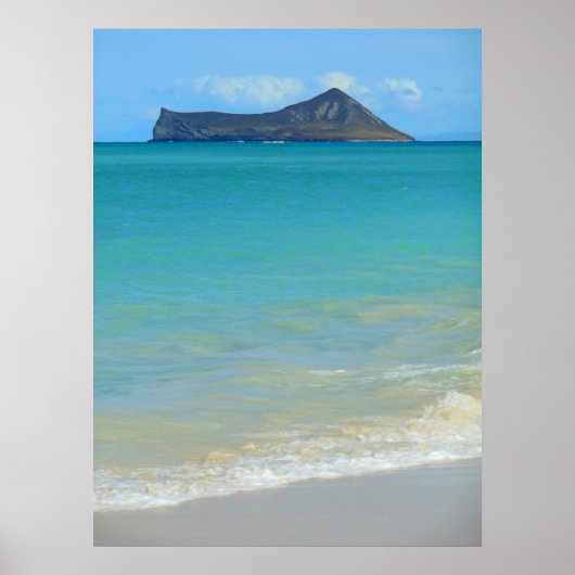 Konijneneiland Poster (Voorkant)