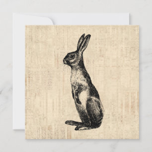 konijnenillustratie Oude Fashioned Bunny Kaart