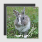 konijnenkonijn (Voorkant / Achterkant)