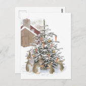 Konijnenkonijn Briefkaart (Voorkant / Achterkant)