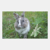 konijnenkonijn rechthoekige sticker (Voorkant)