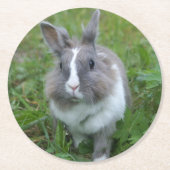 konijnenkonijn ronde kartonnen onderzetter (Voorkant)