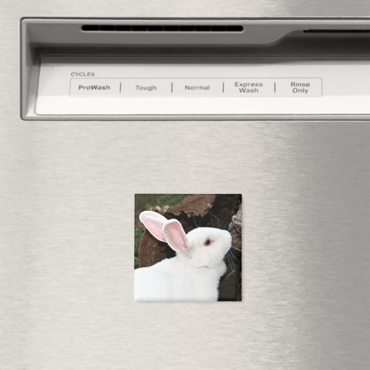 konijnenmagneet magneet (Insitu (Vaatwasser))