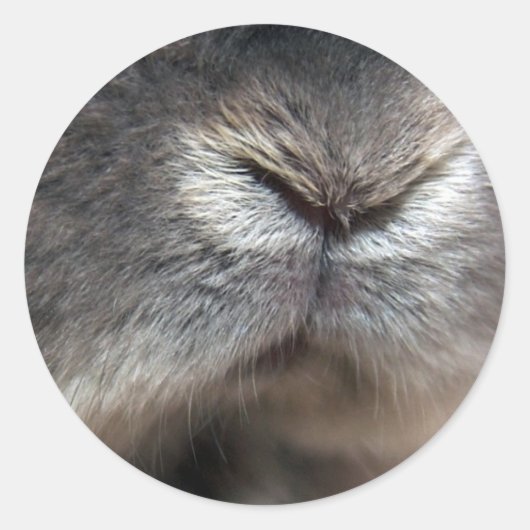 konijnenneus ronde sticker (Voorkant)