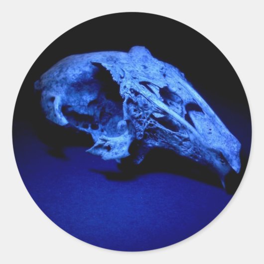 Konijnenschedel - Set van 20 Stickers (Voorkant)