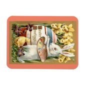 konijnenschuitkiemnet magneet (Horizontaal)