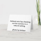 konijnenvakantie-Kaart Feestdagen Kaart (Achterkant)