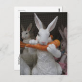 Konijnenwortel Briefkaart (Voorkant / Achterkant)