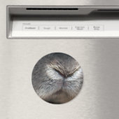 Konijnneus Magneet (Insitu (Vaatwasser))