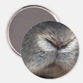 Konijnneus Magneet (Voorkant / Achterkant)
