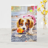 Koning Charles Cavalier Puppy Wenskaart Kaart (Gele Bloem)