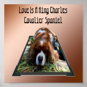 Koning Charles Cavalier Spaniel, Pop uit Kunst Pos Poster