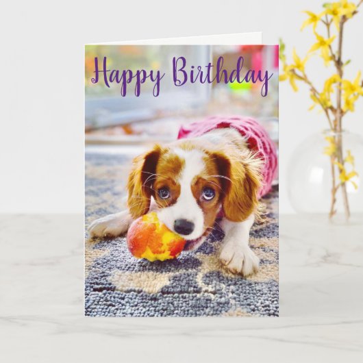 Koning Charles Cavalier Welkomstkaart Puppy Kaart (Gele Bloem)