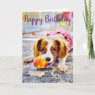 Koning Charles Cavalier Welkomstkaart Puppy Kaart