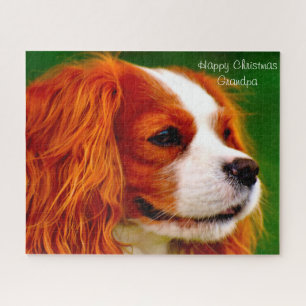 Koning Charles Spaniel Dog. Legpuzzel