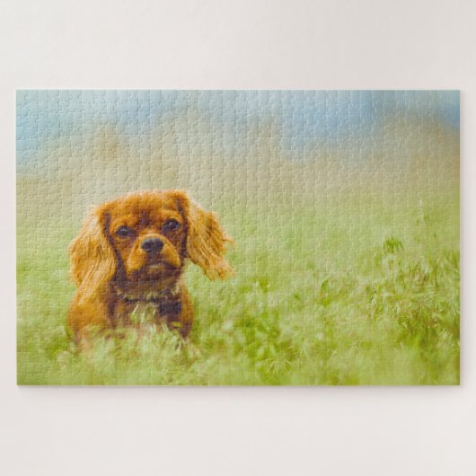 Koning Charles Spaniel Dog. Legpuzzel (Horizontaal)