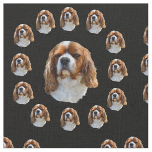 Koning Charles Spaniel Patroon, Stof