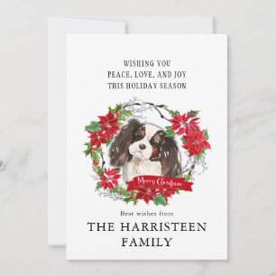 Koning Charles Spaniel Tricolor Poinsettia Kerstmi Feestdagenkaart