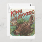  koning Moose Briefkaart (Voorkant / Achterkant)