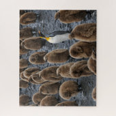 Koning Penguin en jonge kippen in Zuid-Georgië Legpuzzel (Verticaal)