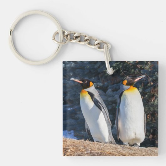 Koning Penguin Paar Tegen Winter Achtergrond Sleutelhanger (voorkant)