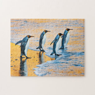 Koning pinguïns in zonsopgang legpuzzel
