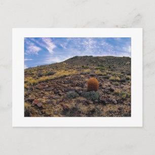 " koning van de heuvel " briefkaart