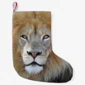 Koning van de leeuw van het oerwoud kleine kerstsok (Voorkant)