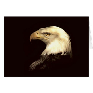 koning van de vlieger