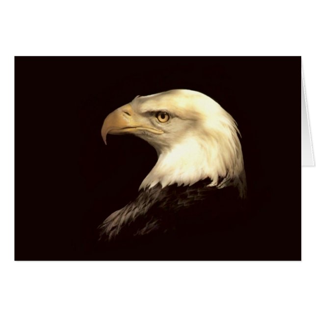 koning van de vlieger (Voorkant Horizontaal)