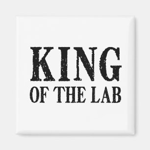 Koning van het Lab - Magnet Magneet