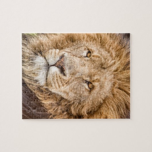 Koning van het Oerwoud-Lion Puzzle Legpuzzel (Horizontaal)