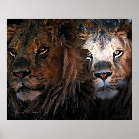 Koning van het Oerwoud Poster (Voorkant)