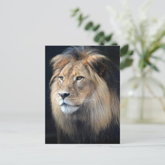 koning van het Oerwoud twee leeuwen Briefkaart (Staand voorkant)