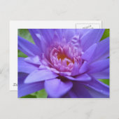 Koning van Siam Briefkaart (Voorkant / Achterkant)