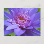 Koning van Siam Briefkaart (Voorkant)