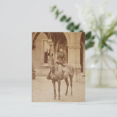 Koningin Alexandra op paard sidesaddle 1870-ies Briefkaart (Staand voorkant)