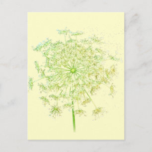 Koningin Anne's Lace Gifts and Favors Briefkaart