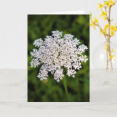 Koningin Anne's Lace, kaart (Gele Bloem)