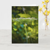 Koningin Anne's Lace, kaart (Gele Bloem)