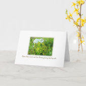 Koningin Anne's Lace & Koe Parsnip Kaart over Wit (Gele Bloem)