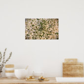 Koningin Anne's Lace Poster (Keuken)