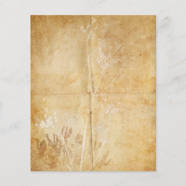 Koningin Anne's Lace Waterverf Parchment (Voorkant)