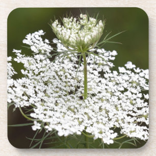 Koningin Ann's Lace Drankjes Onderzetter