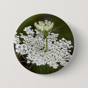 Koningin Ann's Lace Ronde Button 5,7 Cm